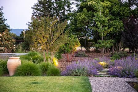 The Seven Principles of Drought-Tolerant Landscaping Thumbnail