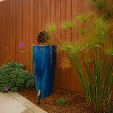 Beautification Award Winner - Fire Pit 3