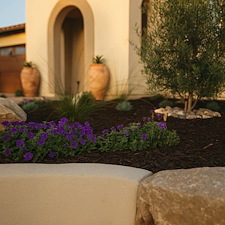 Elements in Harmony 3