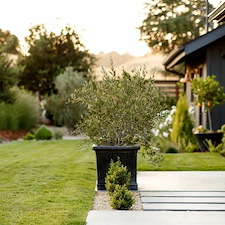 Mediterranean Sunset 11