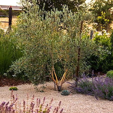 Mediterranean Sunset 12