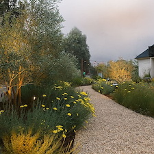 Landscape Design & Outdoor Living Installation San Luis Obispo, CA 12